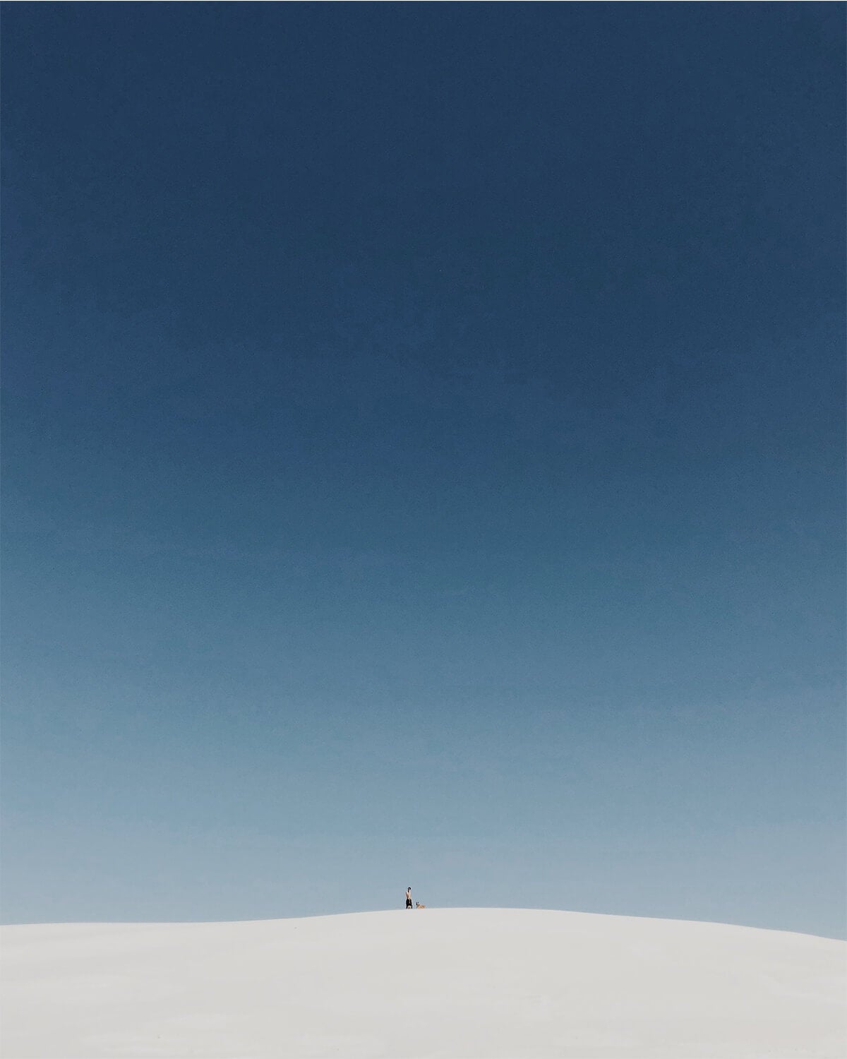 Man and dog standing on top of New Mexico sand dune