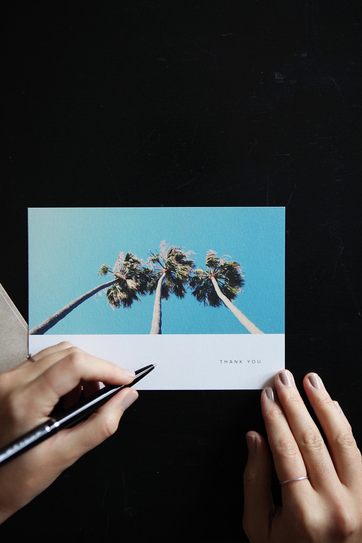 Thank you card with palm tree on front