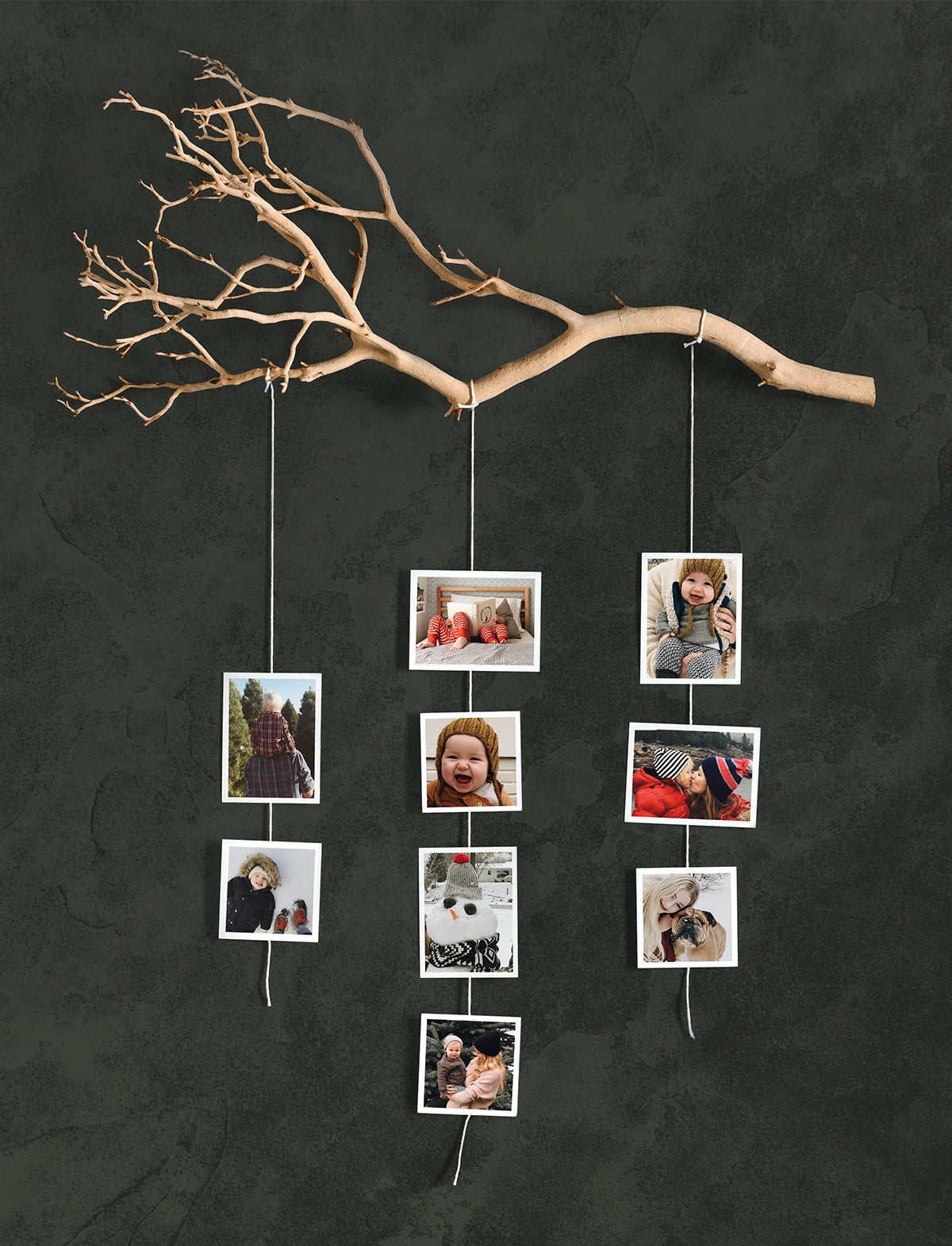 Photo prints hanging from branch attached to wall