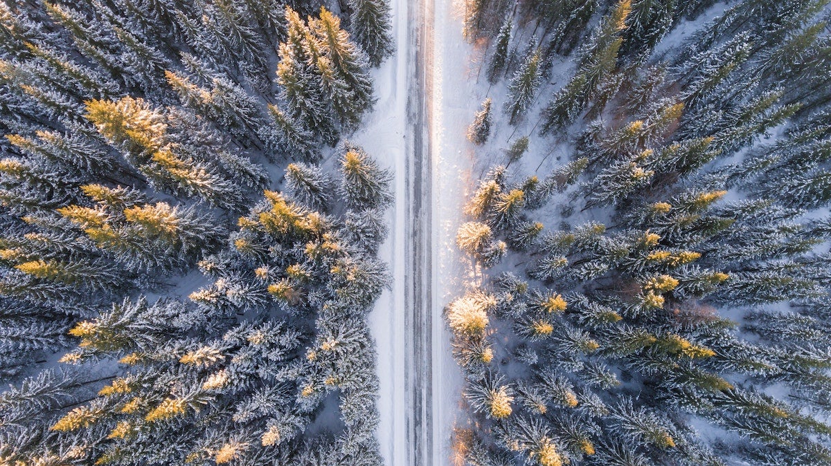 Drone photo of snowy road splitting a forest of snow-covered trees