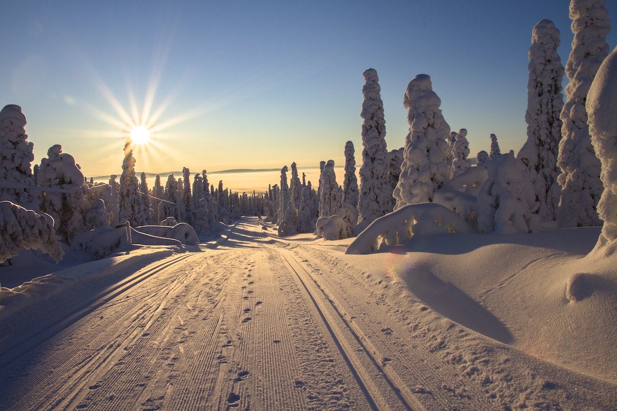 Snowy road at sunrise with sagging snow-covered trees on either side