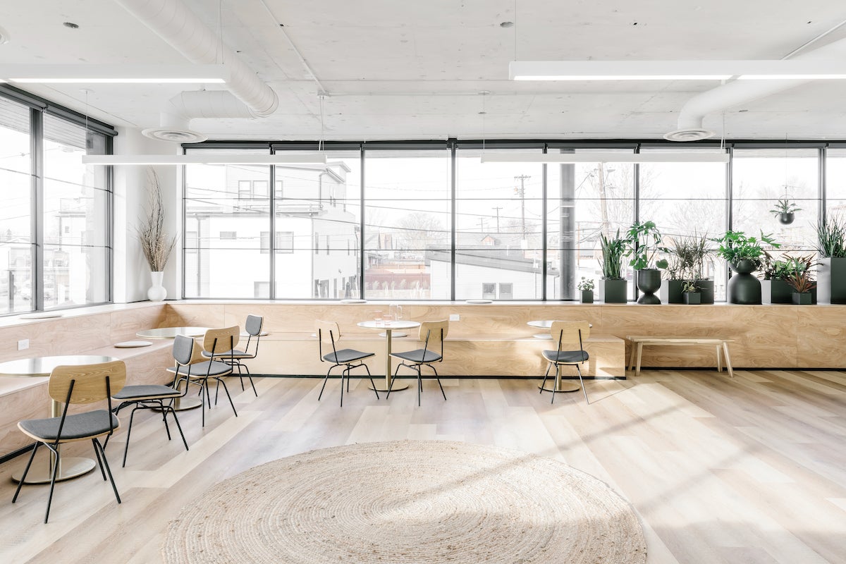 Office communal area flooded with natural light
