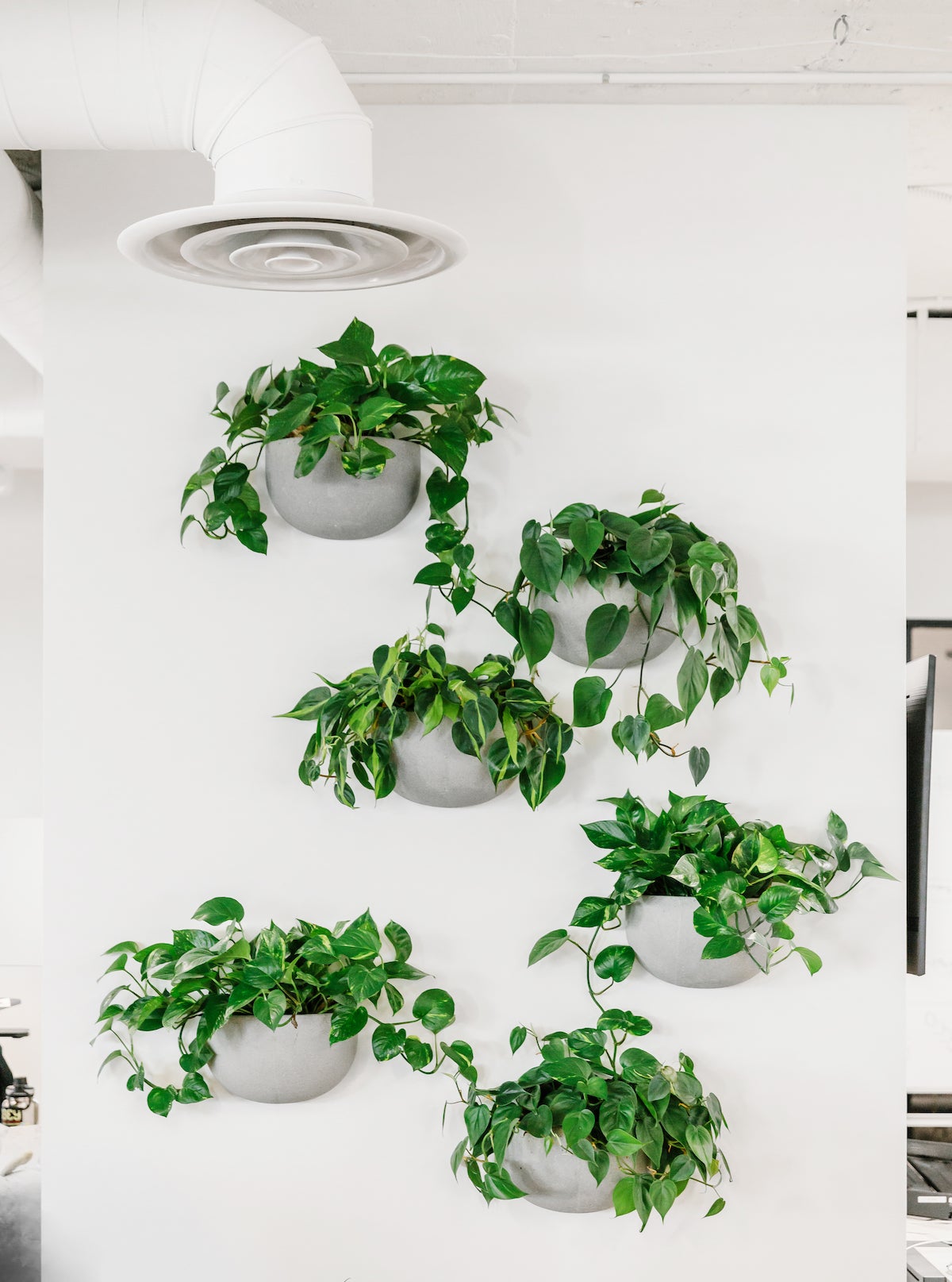A living wall featuring potted plants down a column in the center of the Artifact Uprising office