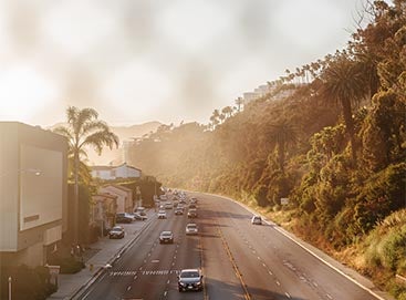 Edited photo of highway lined with palm trees taken at golden hour