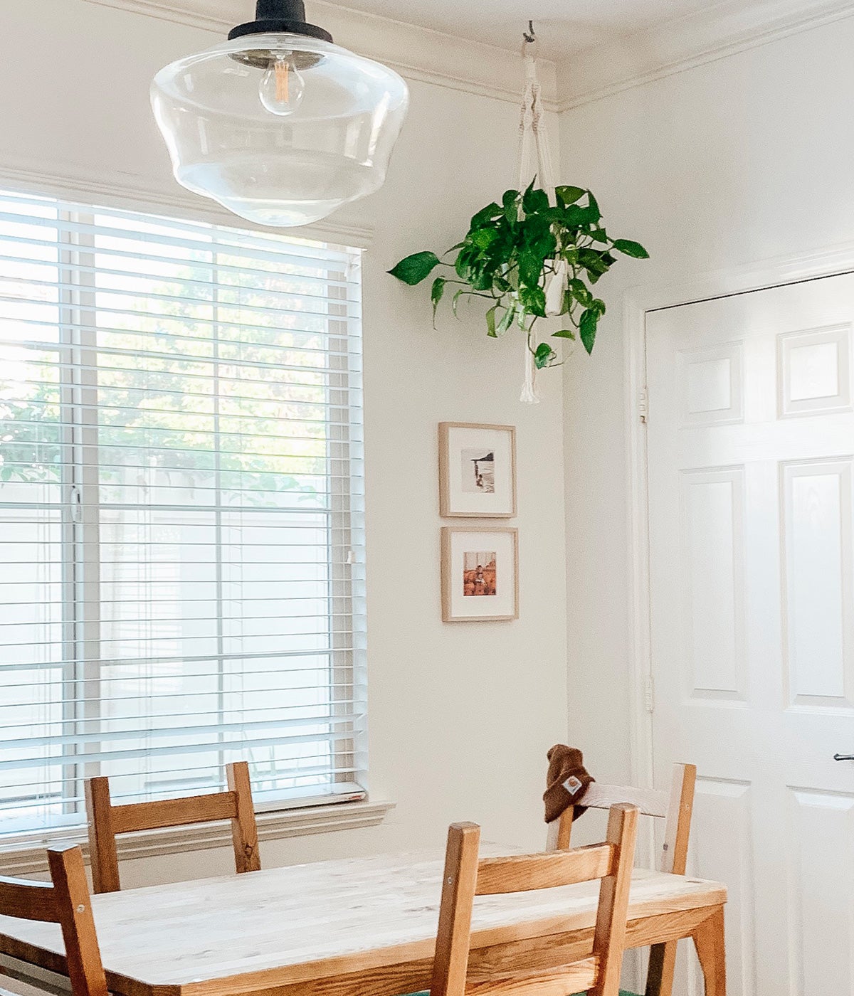 Corner of room with hanging plant and two small gallery frames on wall