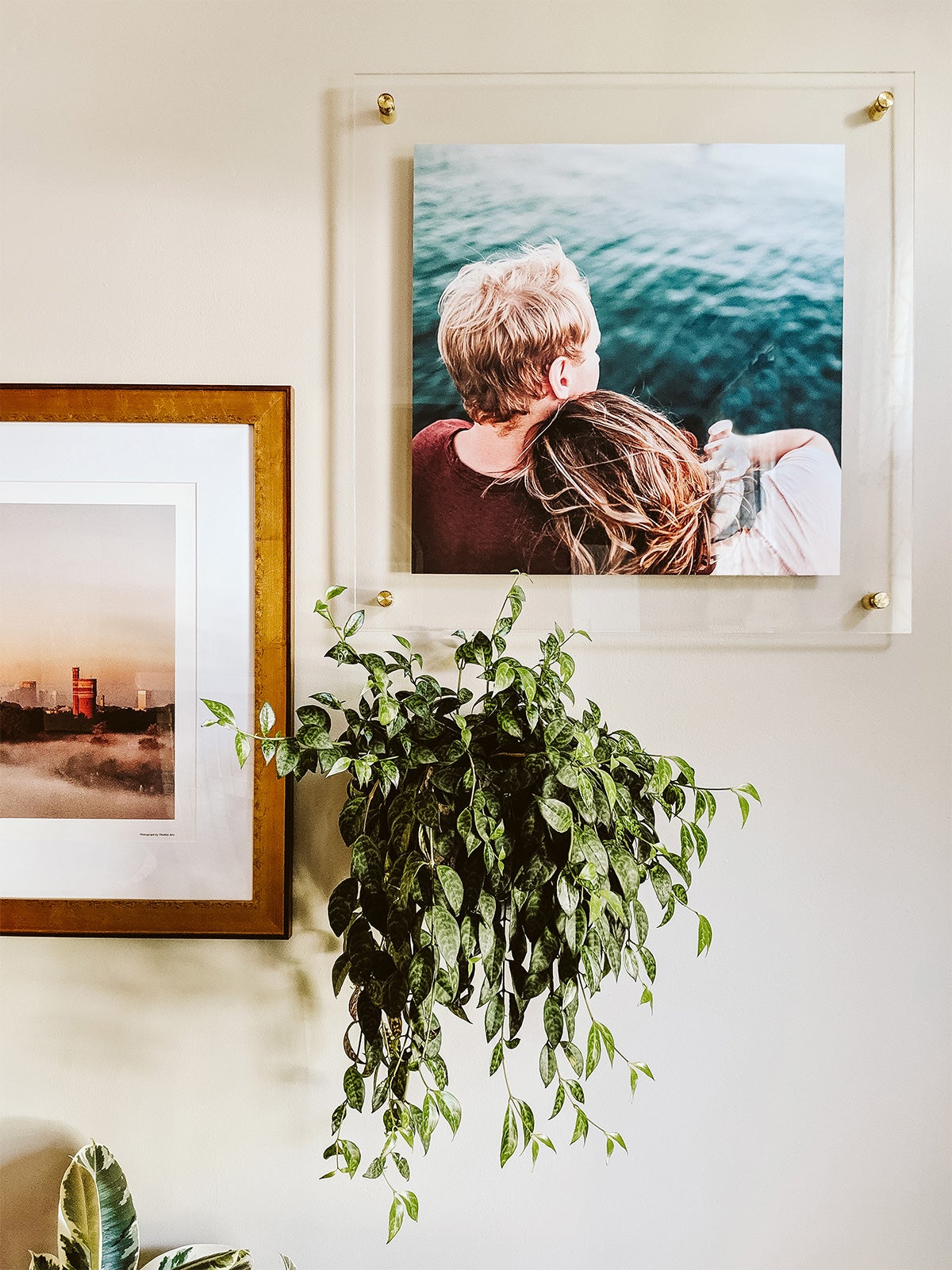 Small art wall created with staggered photo frames and wall-mounted plant