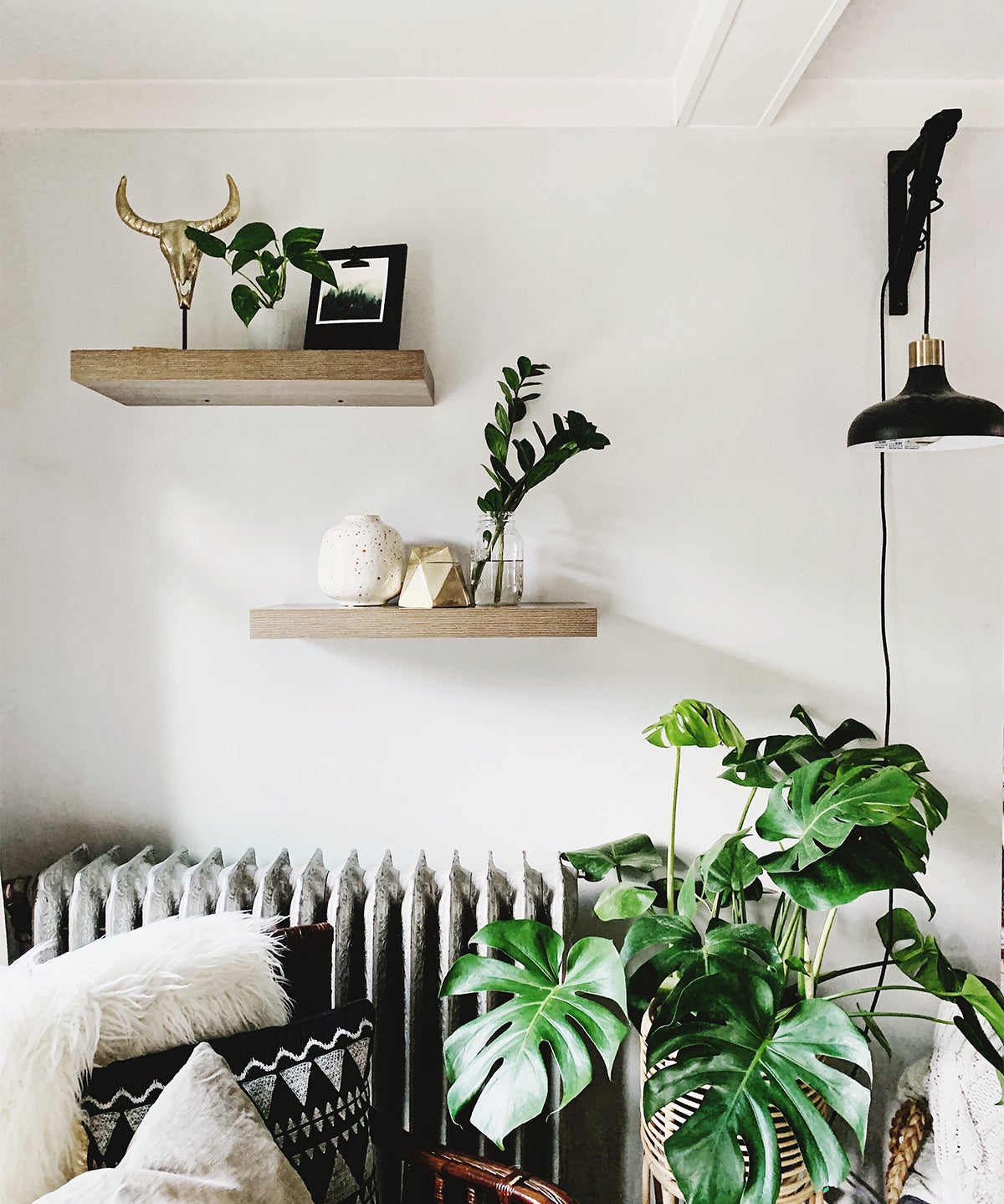 Photo by @kellybananatree of floating shelves next to Monstera plant