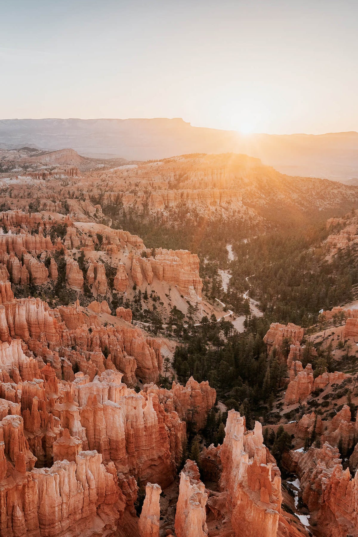 Photo of Renee Hehnel of golden hour in Bryce Canyon National Park
