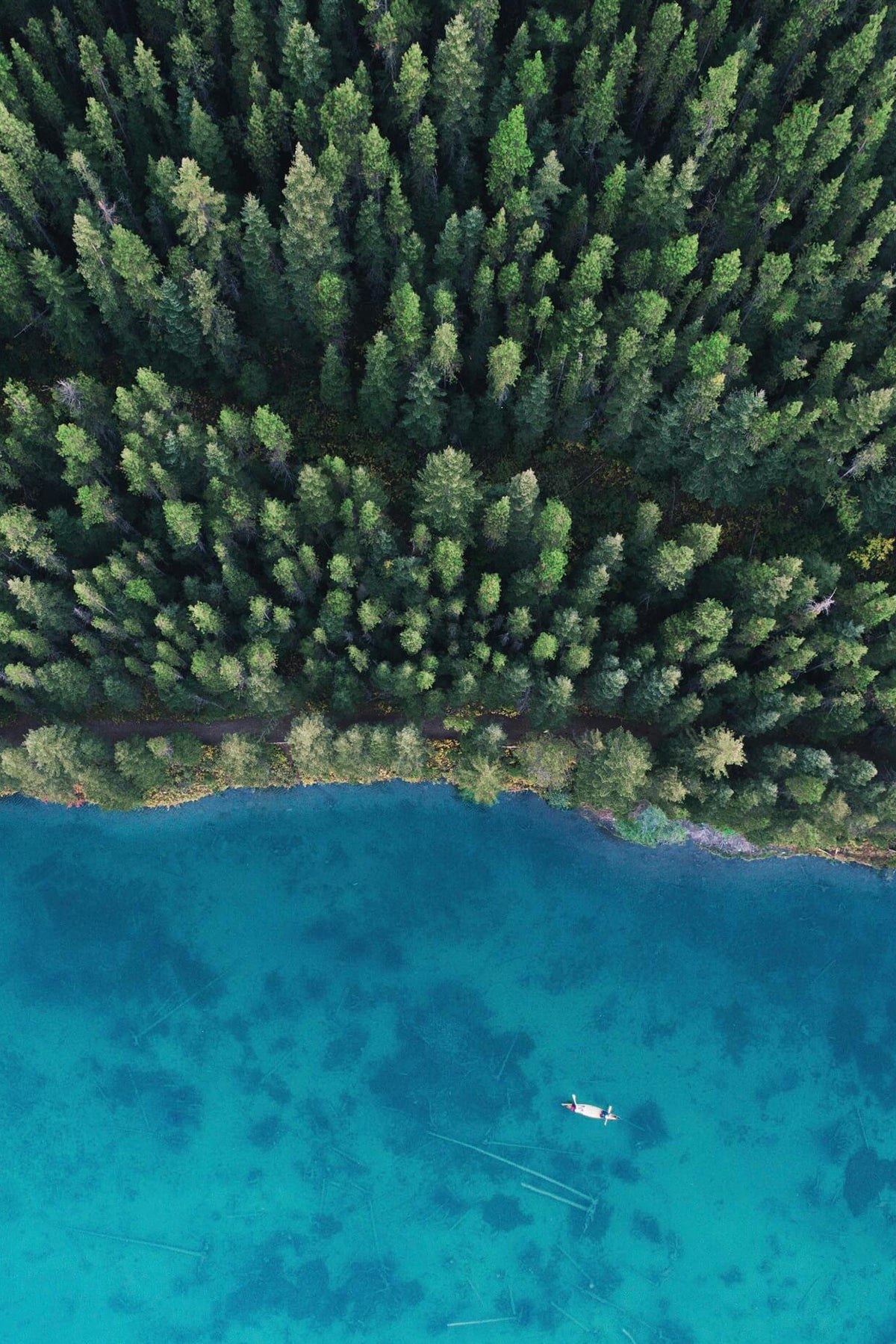 Drone photo by Dirk Dallas of water and trees