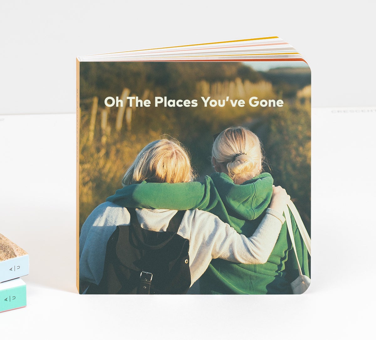 Artifact Uprising Baby Board Book titled Oh the Places You’ve Gone with photo of two young friends on cover