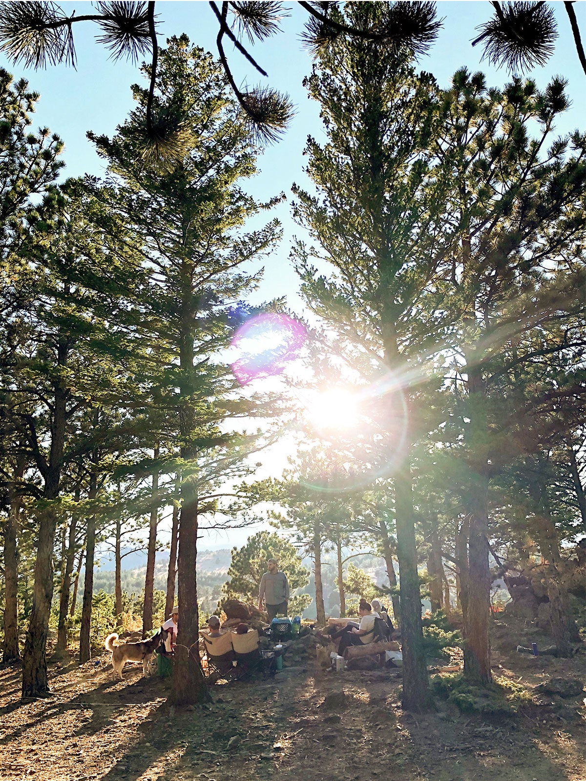 Group of friends camping in the mountains