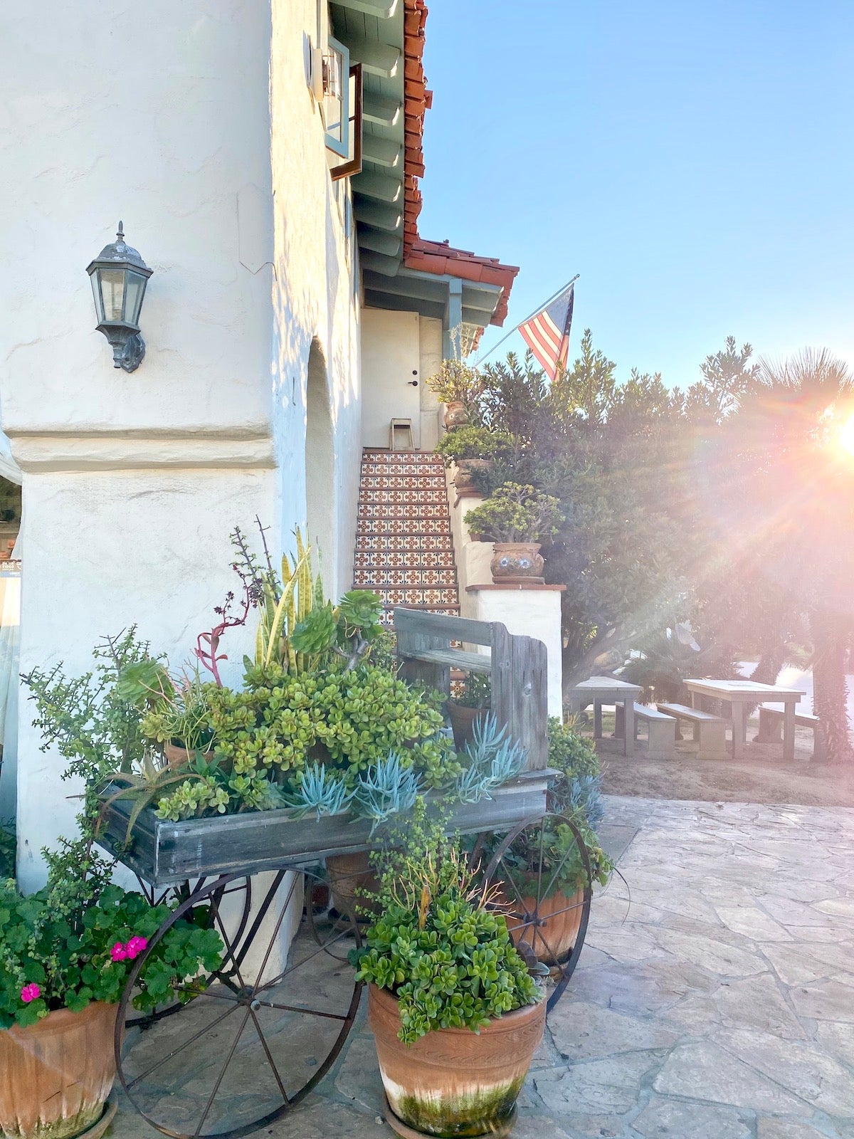 Cart full of plants, positioned against a white building