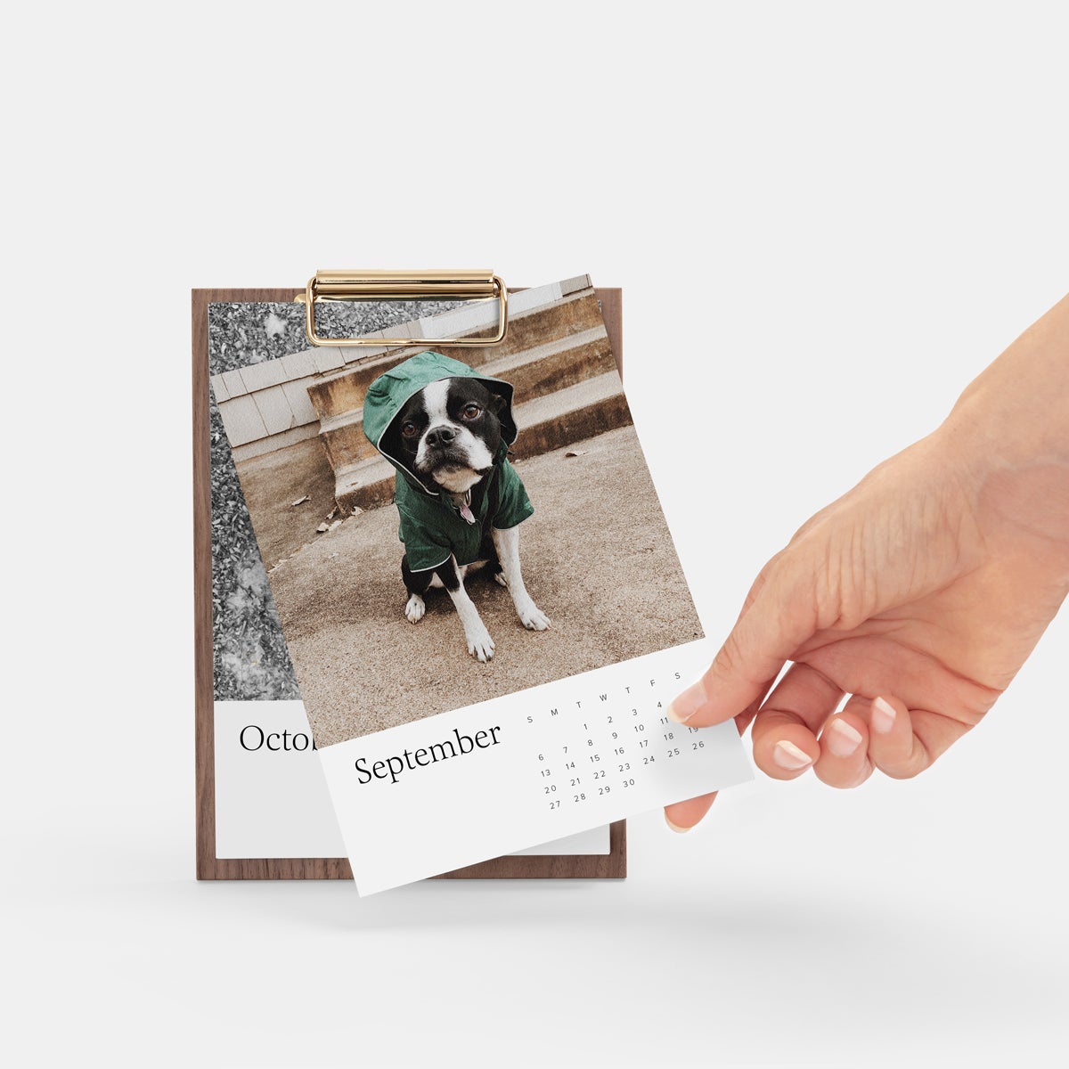 wood desktop calendar set to September featuring photo of cute dog wearing jacket