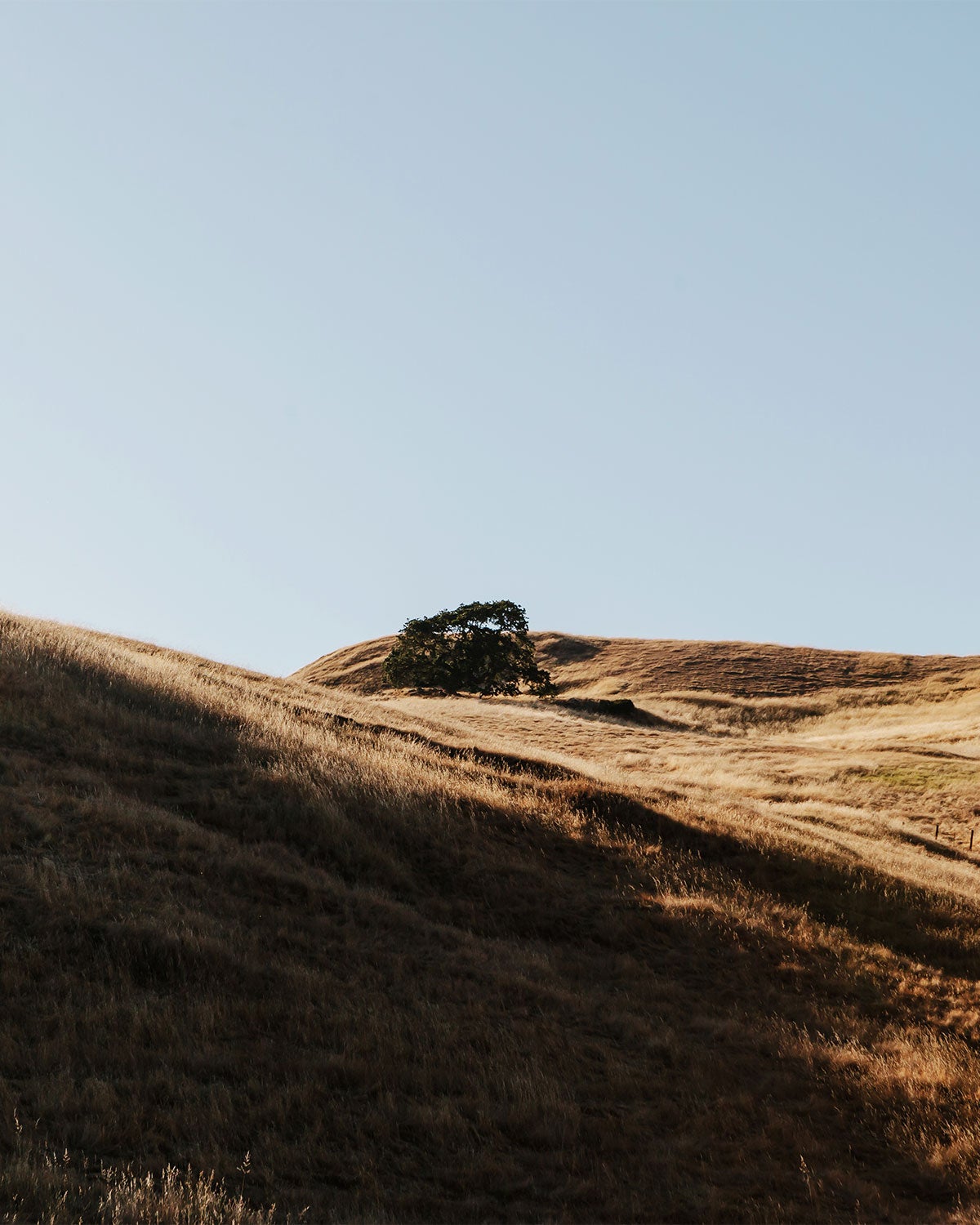 Sun hitting a golden hill off of a hiking trail