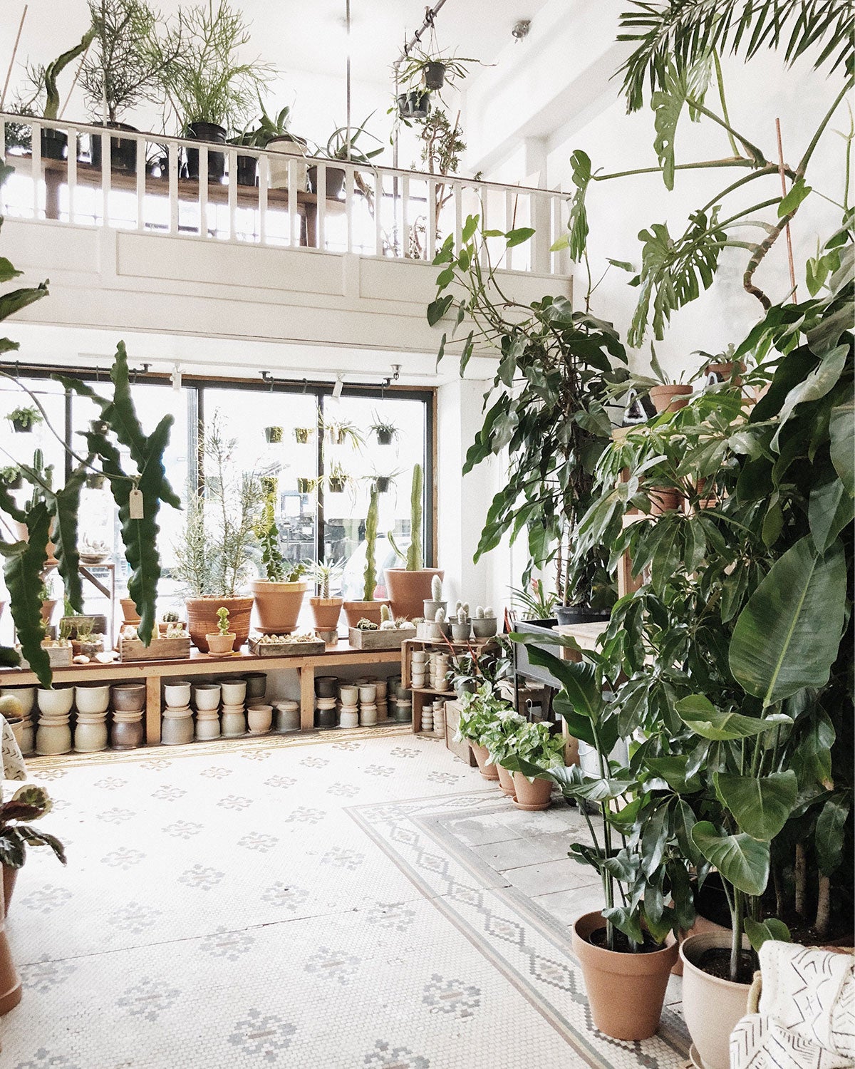 Inside of a small plant shop filled with greenery
