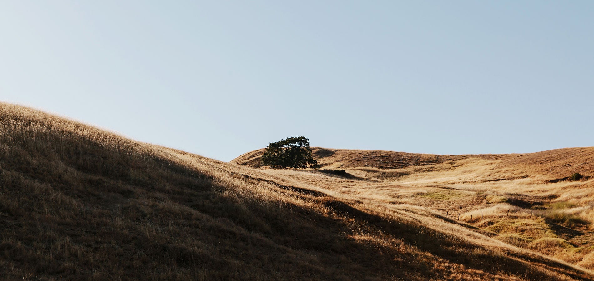 Sun hitting a golden hill off of a hiking trail