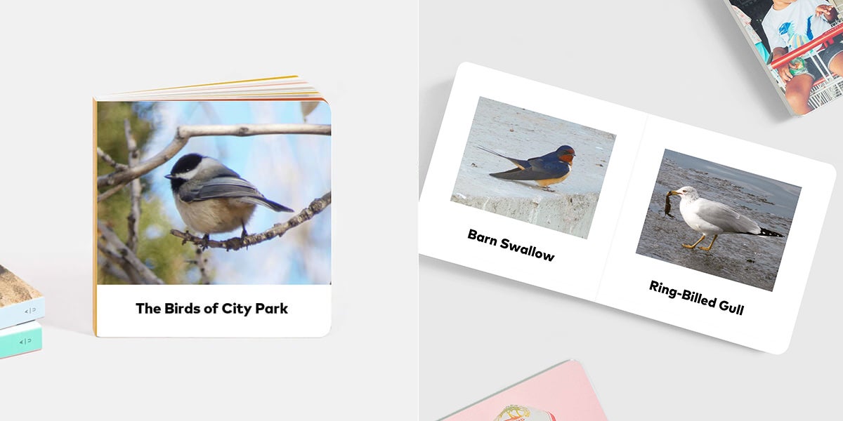 Board book with images and names of birds