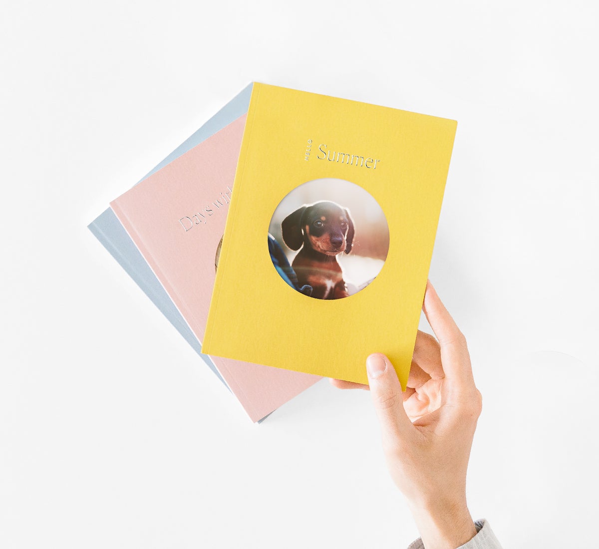 Yellow Color Series Photo Book with wiener dog on the cover