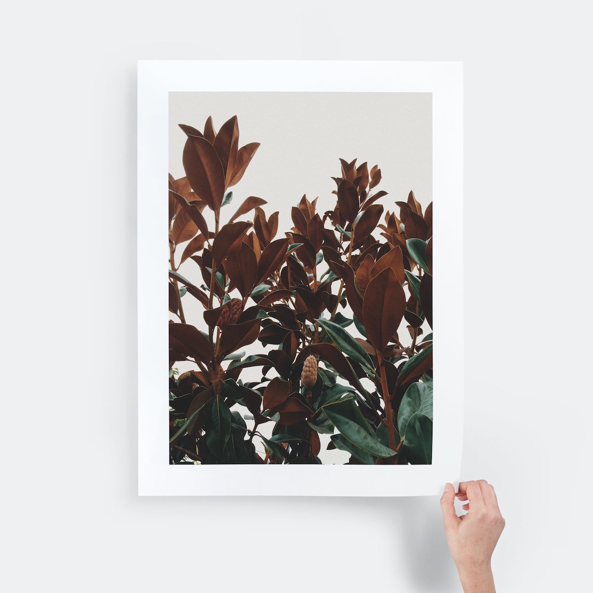 hand holding a giclée print of red flowers by the corner