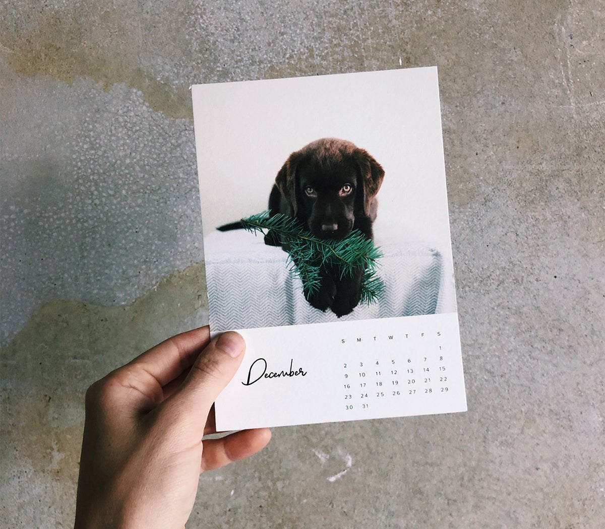 Photo by @morningswithskye of Artifact Uprising calendar print featuring puppy