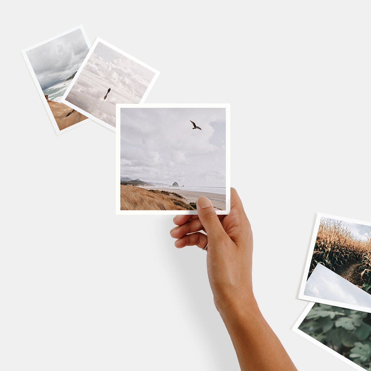 How to organize photos