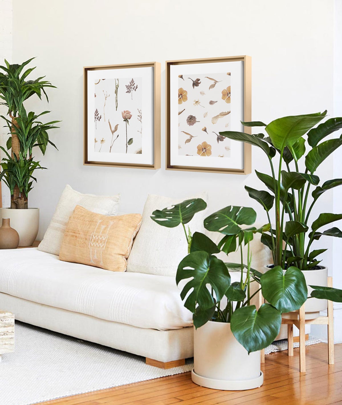 Framed Canvas prints of dried botanicals hanging above couch in between Dracena and other large plants