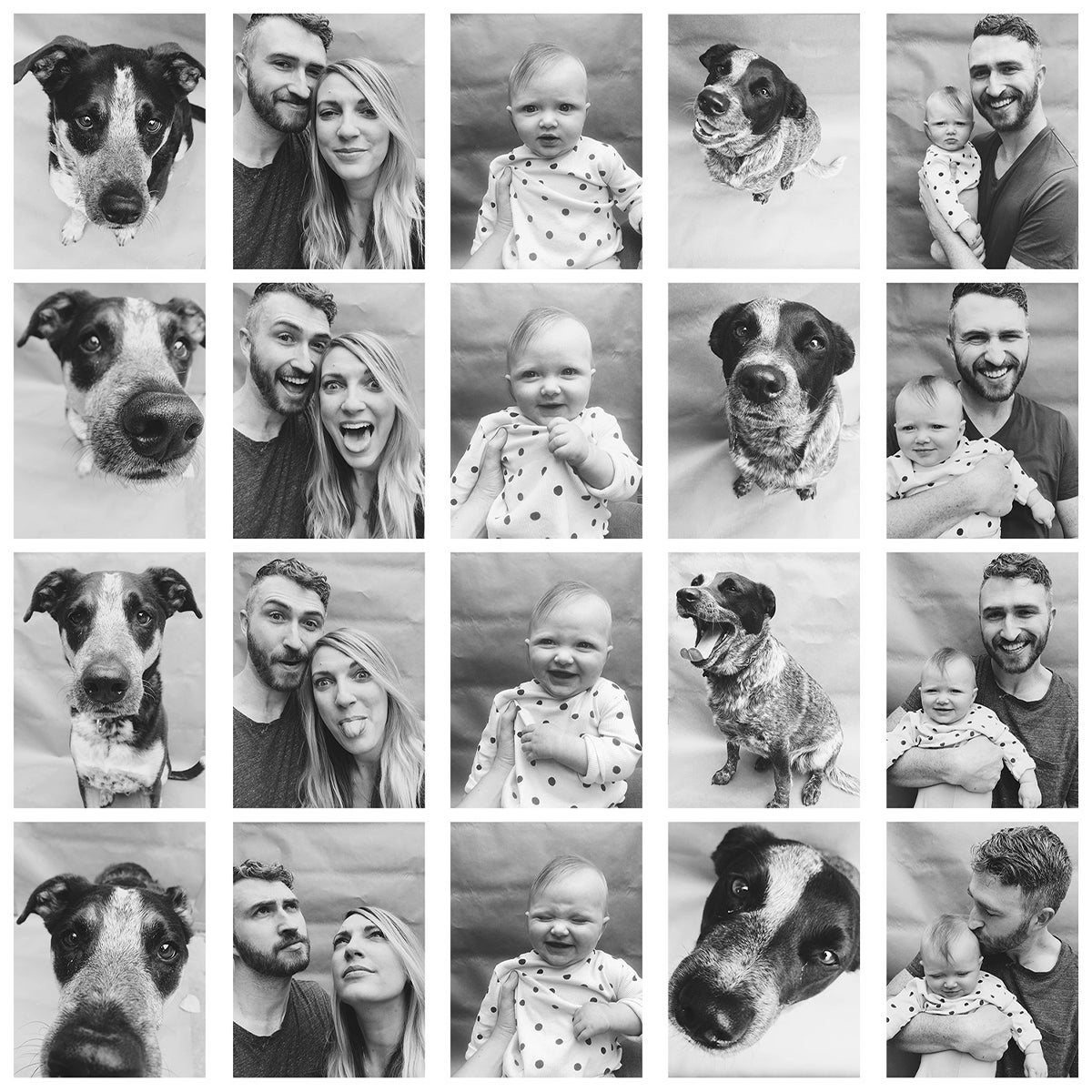 Grid of family, baby, and dog photos