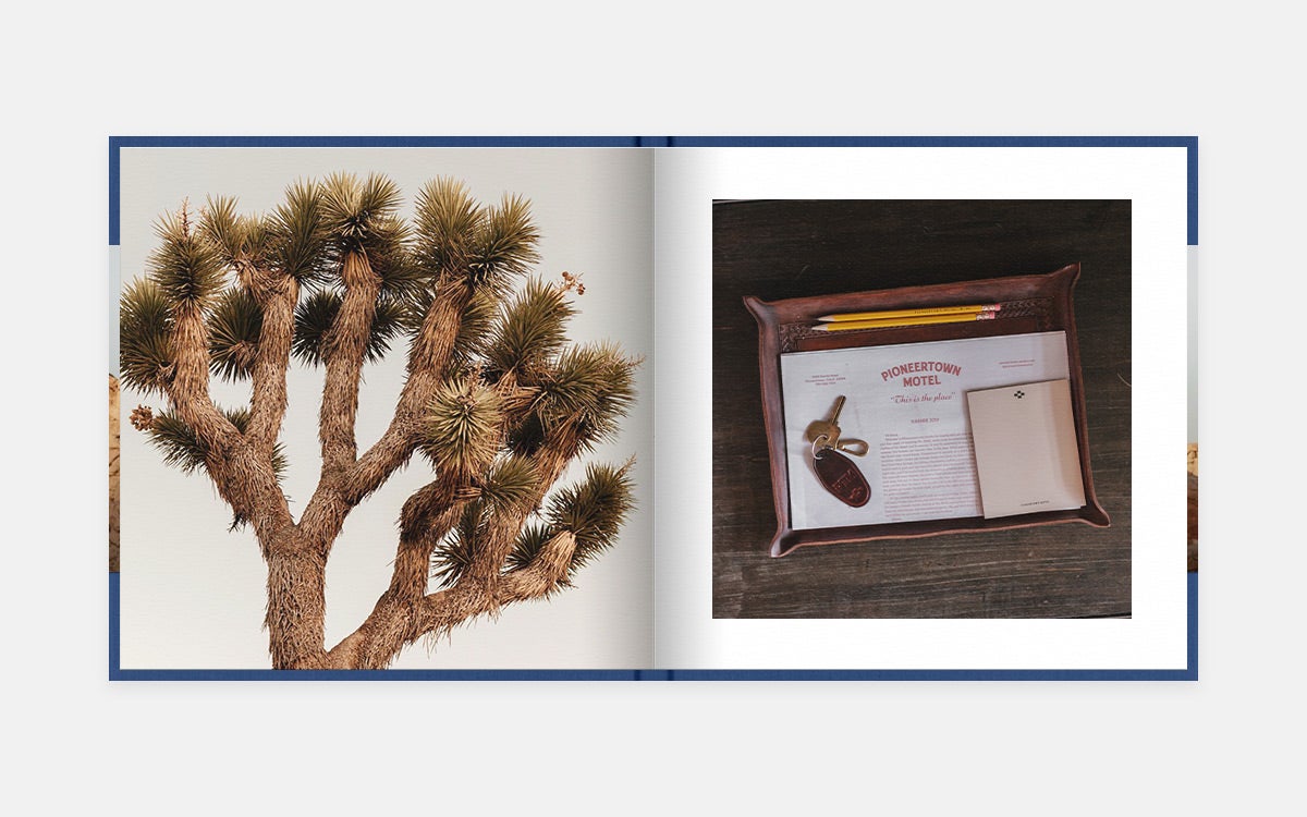 Scene-setting spread featuring exotic tree on left page and motel pamphlets on right