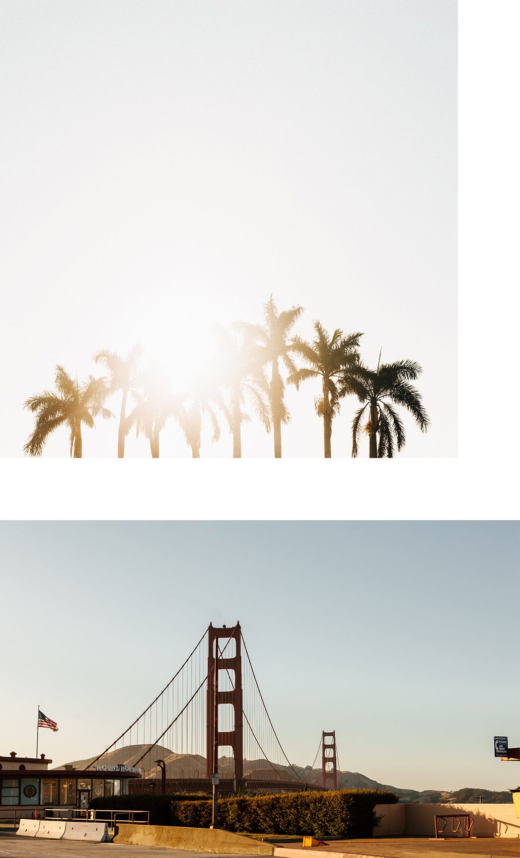 Two coastal photos by Brandon Lopez of row of palm trees and bay area bridge