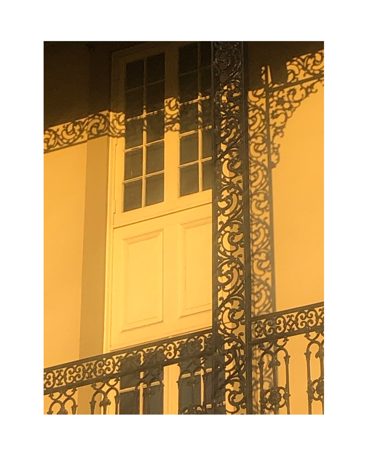 Photo of railings casting unusual shadow by Molly Olwig