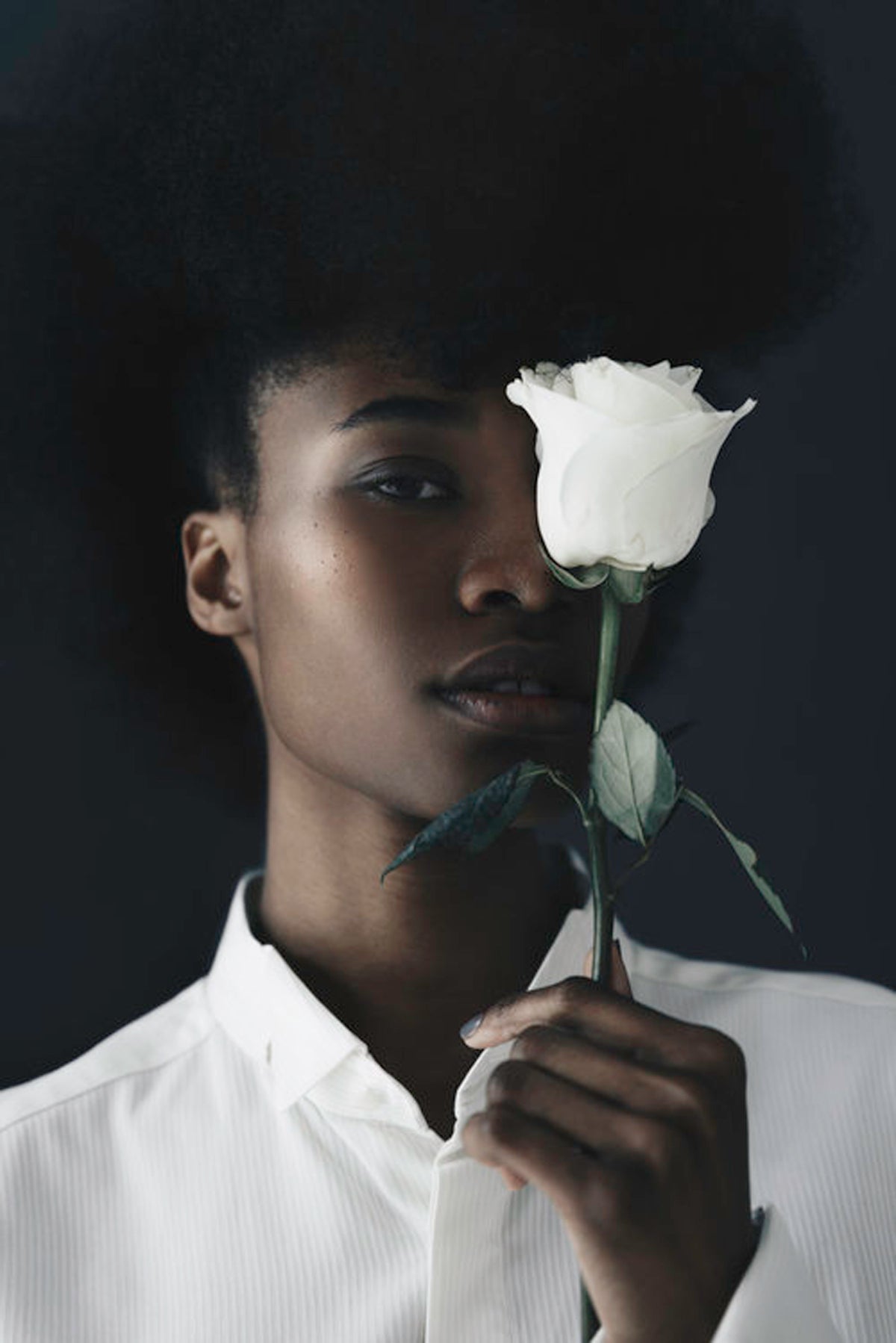 Portrait of young woman holding up white rose by Molly Olwig