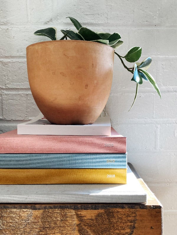 Small potted hoya plant atop stack of Artifact Uprising Everyday Photo Books