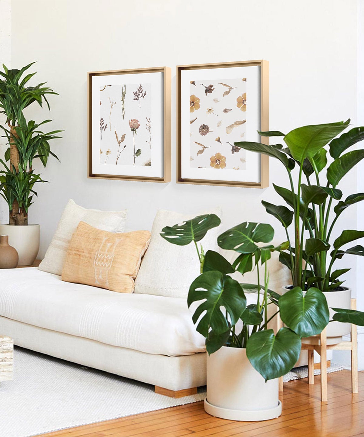 Artifact Uprising Framed Canvas Prints of dried botanicals hanging above white couch surrounded by plants