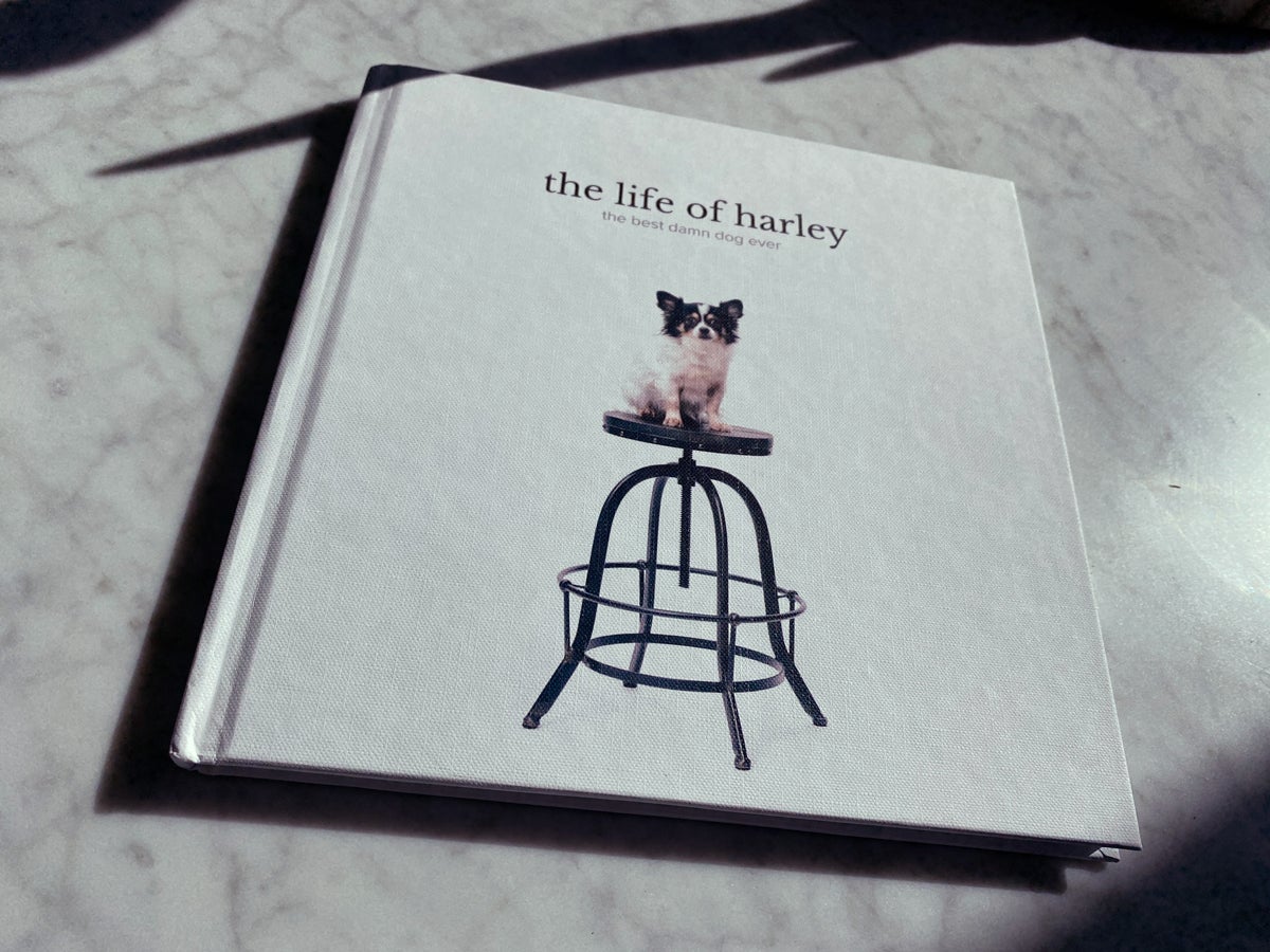 Photo book of dog named Harley