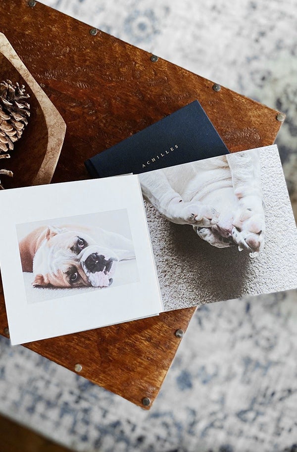 Artifact Uprising Everyday photo book opened up to photos of adorable English bulldog