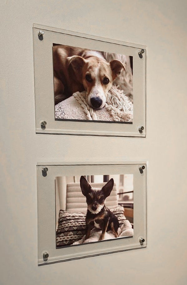 Artifact Uprising Floating Frames on wall featuring portraits of two dogs