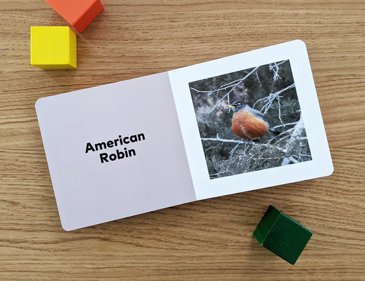 Artifact Uprising Board Book opened up to photo and name of the American Robin bird