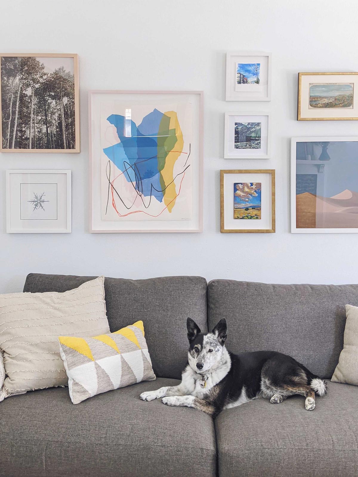 Gallery wall created with Artifact Uprising Gallery frames of different sizes above a grey couch with a blue heeler laying on it