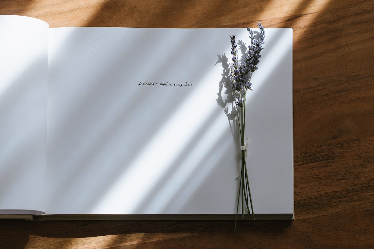 Rays of light flooding in from the window onto the dedication page of I Wish, I Wish by Martha Swann-Quinn as a sprig of lavender rests on the page