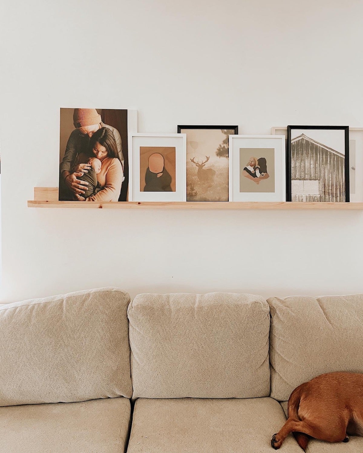 Artifact Uprising Gallery Frames layered on floating wall shelf above couch with dog