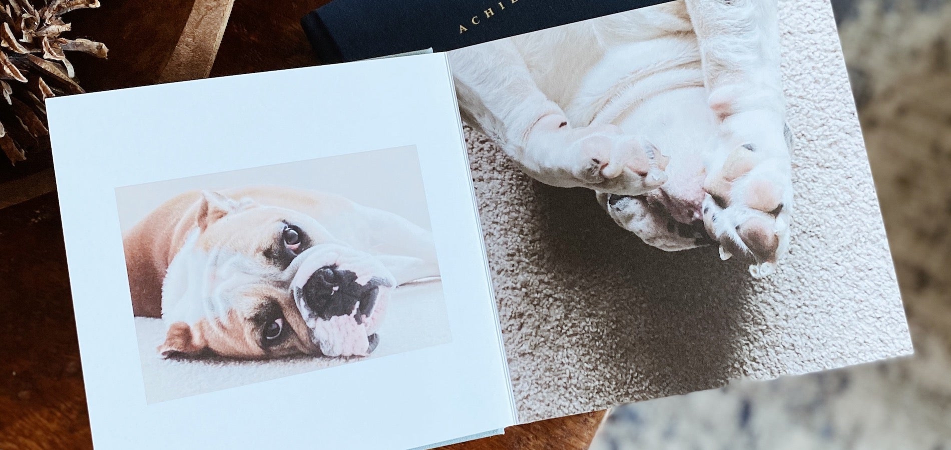 Artifact Uprising Everyday Photo Book on coffee table opened to photos of cute bulldog