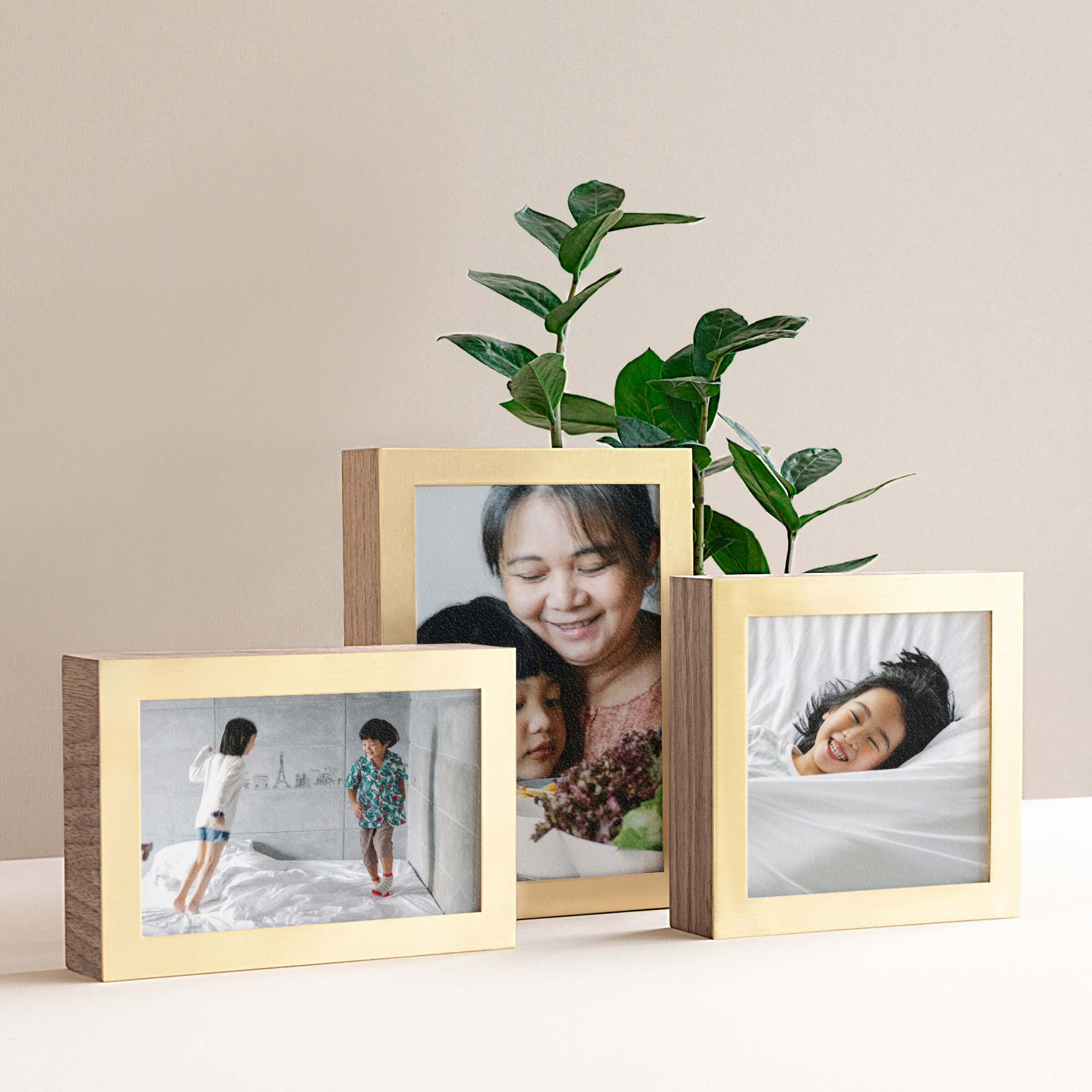 Brass & Wood Display boxes with photo prints inside