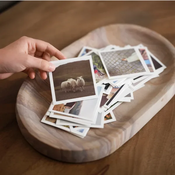 St. Frank photo book