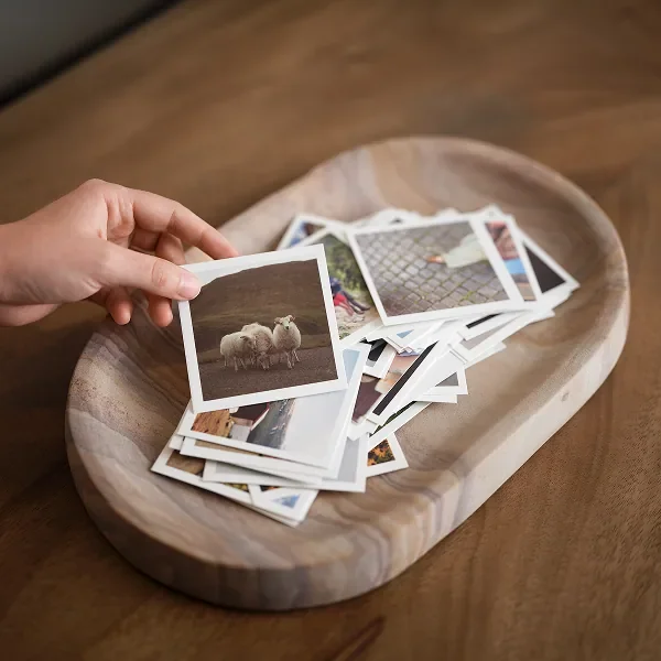 St. Frank photo book
