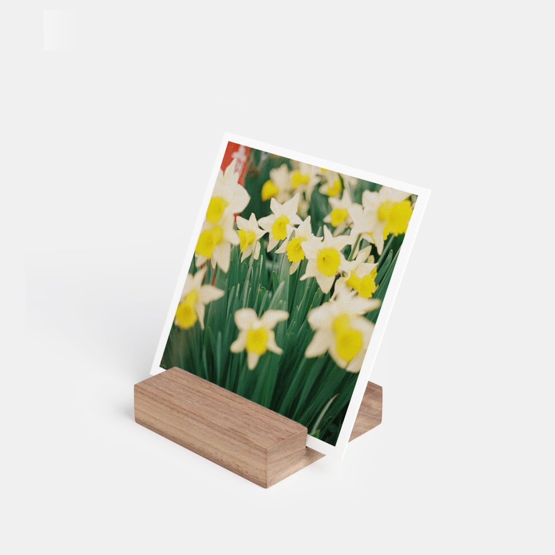 Photo Block and Prints