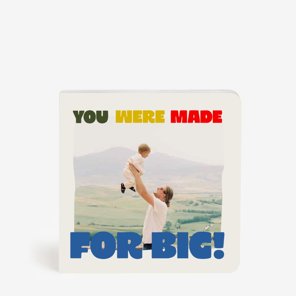New! Dad's Story Board Book
