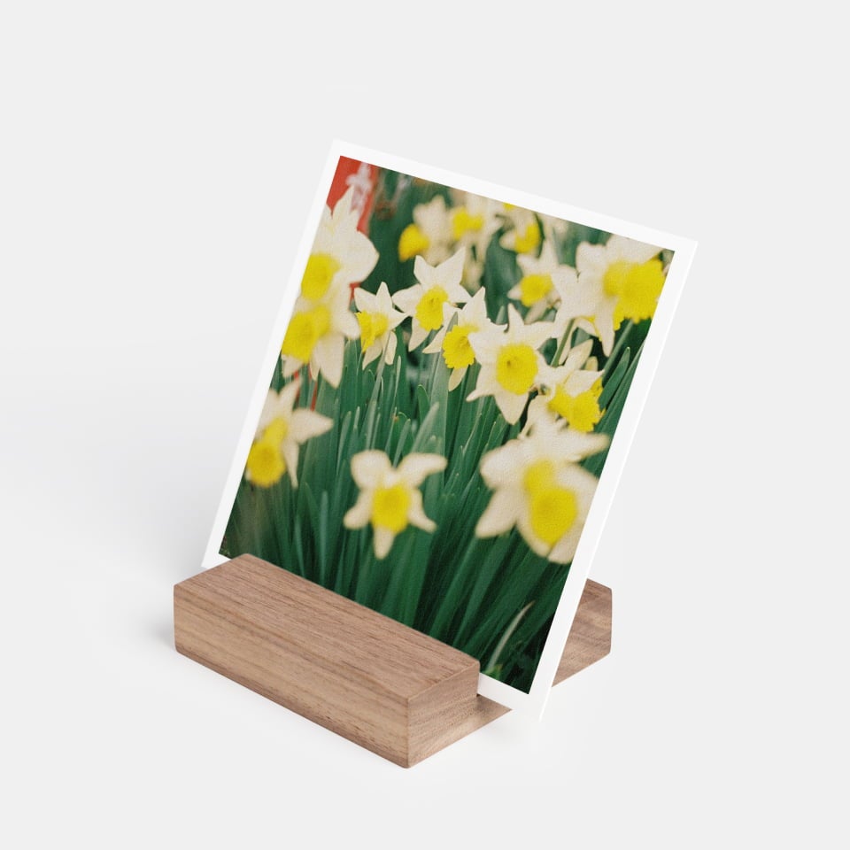 Photo Block & Prints