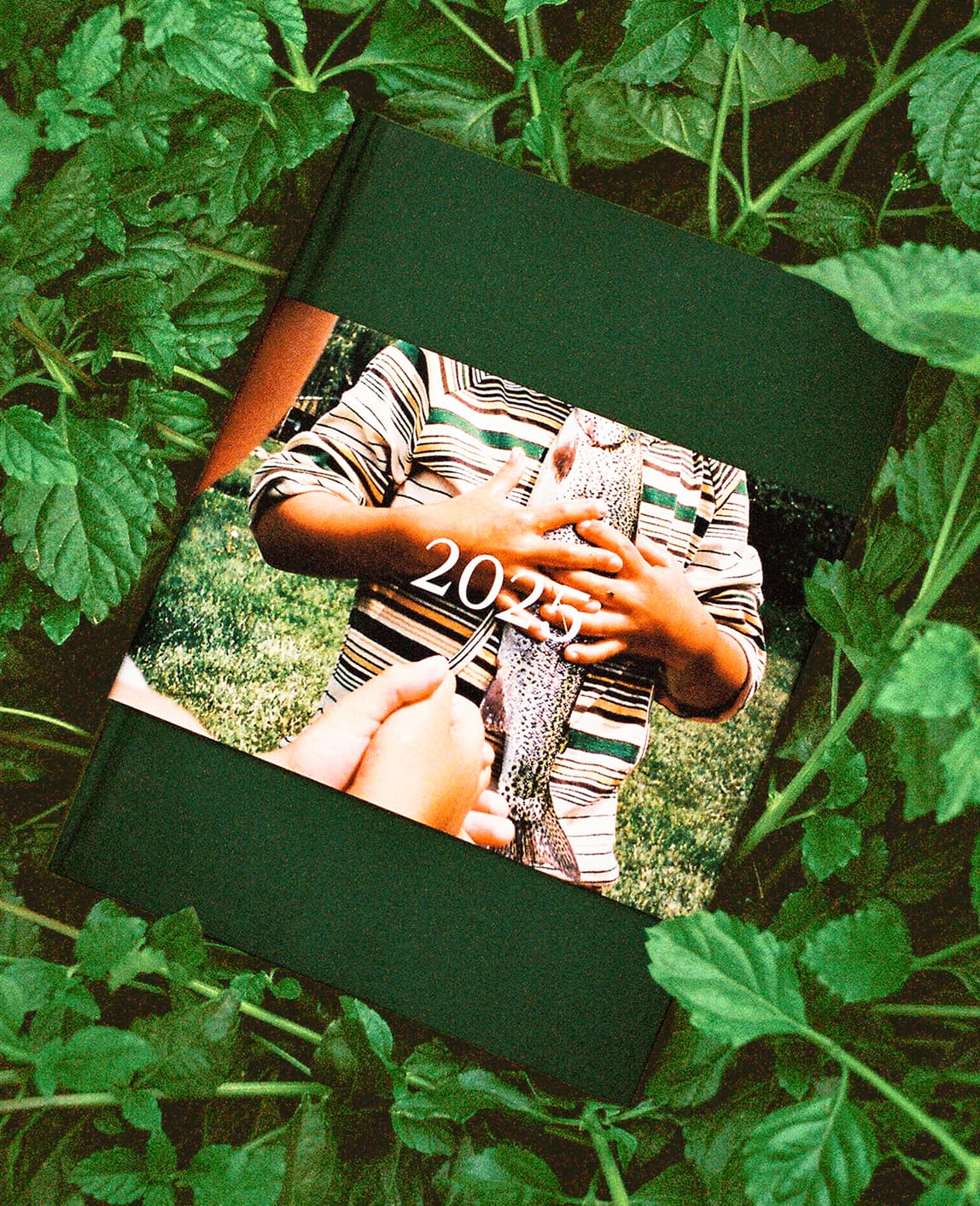 Photo book in green foliage