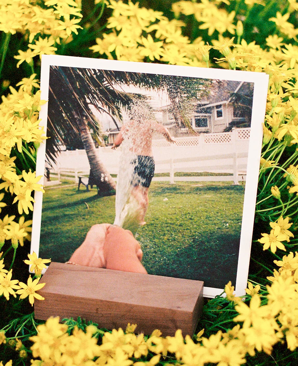 Framed photo in yellow flowers