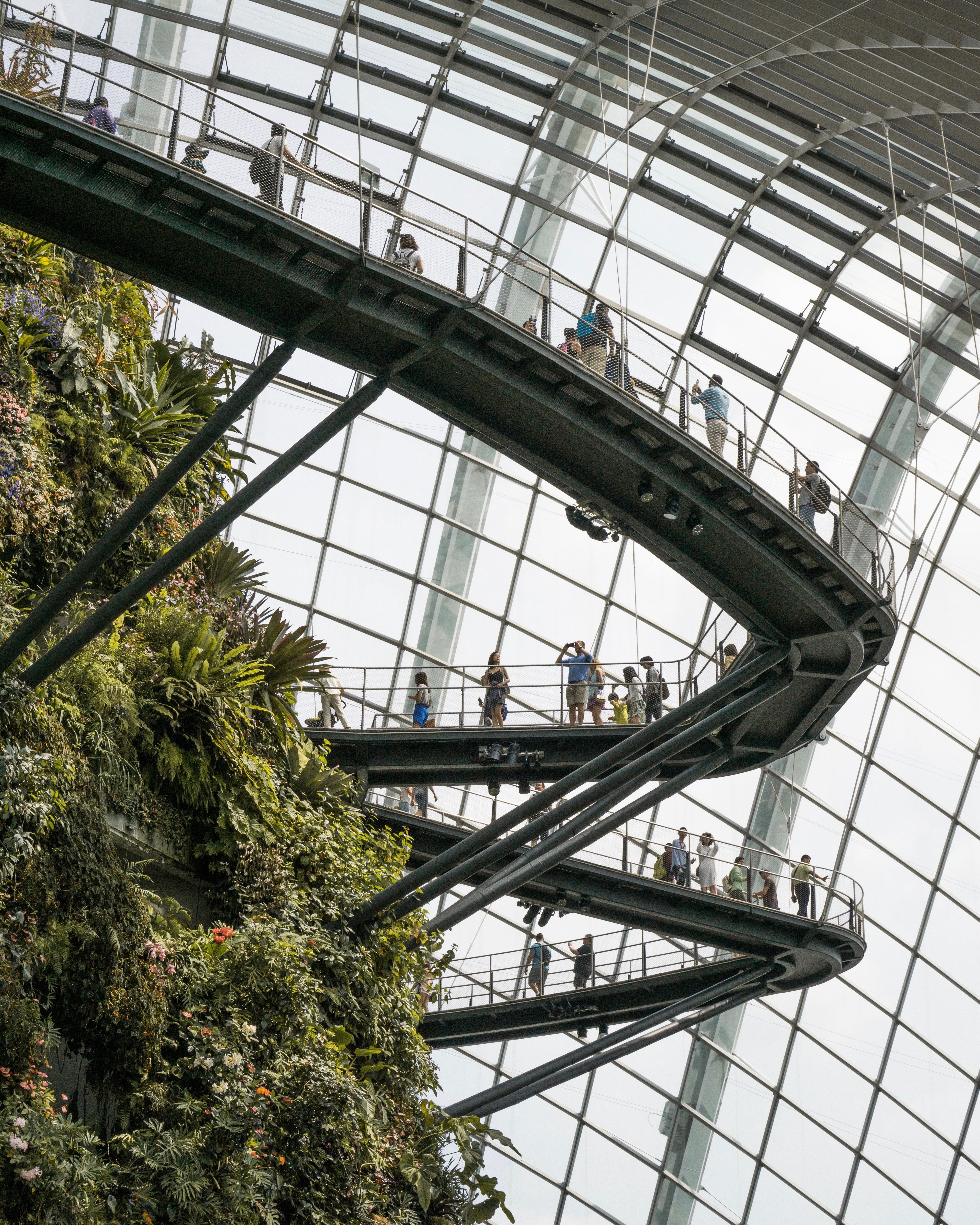 Photo of people standing on skyway beneath glass ceiling in building